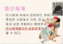 영유아발달 생태학적 이론 브론펜브레너 7페이지