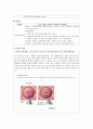 [모성간호학-환자사례 간호과정] 자궁경부 이형성증 (moderate cervical dysplasia) 케이스 11페이지