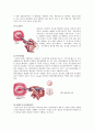 [모성간호학-환자사례 간호과정] 자궁경부 이형성증 (moderate cervical dysplasia) 케이스 20페이지