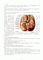 [간호] 뇌 동맥류 (cerebral aneurysm) 케이스  15페이지