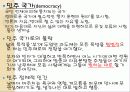 [철학] 플라톤 분석 23페이지