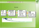 [간호이론] ADAPTATION MODEL 로이 이론 - 초점자극, 관련자극, 로이 이론 잔여자극 6페이지