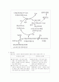 [영양학] 에너지 대사와 열량 균형 13페이지