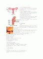 자궁근종 (myoma uteri or leiomyoma) 케이스 2페이지