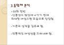 골드미스가 간다에 대한 계열체통합체 분석 [신봉선 맞선 편을 중심으로]  13페이지