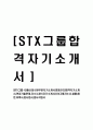 [STX-경영관리부문자기소개서신입사원]합격자기소개서,면접기출문제,자소서,STX자기소개서,STX그룹자소서,샘플,예문,이력서,입사원서,입사지원서 1페이지