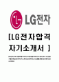 [LG전자-AE사업부자기소개서]합격자기소개서,자소서,면접기출문제,LG전자자기소개서,LG전자자소서,샘플,예문,이력서,입사원서,입사지원서 1페이지