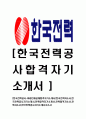 [한국전력공사-최신공채합격자기소개서]한국전력자소서,한국전력공사자기소개서,전력합격자기소개서,전력합격자소서,전력자소서,이력서,입사지원서,입사원서,샘플,예문,면접기출문제 1페이지