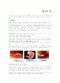 인행사+최종수정 2페이지