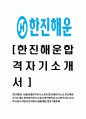 [한진해운-대졸공채합격자기소개서]한진해운자소서,한진해운자기소개서,한진합격자기소개서,한진합격자소서,한진자소서,이력서,입사지원서,입사원서,샘플,예문,면접기출문제  1페이지