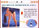 성담론의 이해 - 성(性) 상품화 광고 15페이지