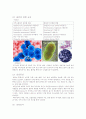 케이스 스터디(Case Study) - 폐렴(pneumonia, ICP) 5페이지