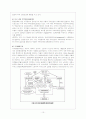 대외무역법 - 미국 10페이지