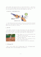 테니스 레포트 (스트로크에 대해서) 5페이지