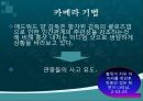 영화 마작 (양덕창 감독소개) 14페이지