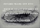 한국 현대사의 왜곡, 제주 4.3항쟁  12페이지
