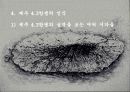 한국 현대사의 왜곡, 제주 4.3항쟁  21페이지