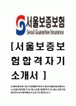 [서울보증보험-정규직공채합격자기소개서]서울보증보험자소서,서울보증보험자기소개서,보증보험합격자기소개서,보증보험합격자소서,보증보험자소서,자기소개서자소서 1페이지