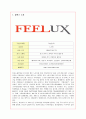 감성조명 필룩스(feelux)의 기업전략 성공사례 1페이지