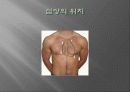 심혈관계__생리[1] 4페이지