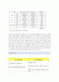 한성항공 마케팅분석과 문제점분석및 앞으로의 전략제안 5페이지