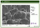 주사전자현미경의 원리 및 구성과 주사전자현미경의 실험결과 31페이지