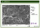 주사전자현미경의 원리 및 구성과 주사전자현미경의 실험결과 34페이지