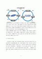 우리나라 재벌 대기업의 기업지배구조 문제점과 개선방안 5페이지