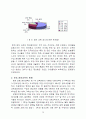 조기영어교육  11페이지