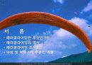 패러글라이딩 산업분석 (Let’s paragliding).ppt 5페이지