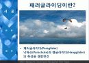 패러글라이딩 산업분석 (Let’s paragliding).ppt 6페이지