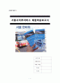 [A+] 서울 시티투어 버스 체험 학습 보고서 (서울시티투어버스 이용후기) [A+]  1페이지