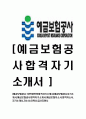 [예금보험공사-대학생 인턴 합격 자기소개서] 예금보험공사 자기소개서,예금보험공사 자소서,자기소개서,자소서,이력서,입사지원서 1페이지