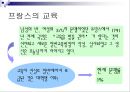 교육과정의 구성과 개발  33페이지