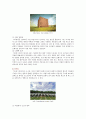 [미니멀리즘 건축] 미니멀리즘 건축작가와 건축작품 6페이지