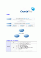 [크루셜텍-2013년 신입사원 공채합격 자기소개서] 크루셜텍 자기소개서,크루셜텍합격자기소개서,자소서,합격자소서,자기소개서,자소서,이력서,입사지원서 6페이지