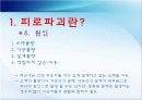 피로파괴의 특성과 방지책.ppt 11페이지