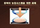 동북아 농업 시스템 구축의 논리와 구조.ppt 19페이지