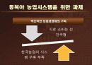 동북아 농업 시스템 구축의 논리와 구조.ppt 20페이지