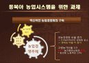 동북아 농업 시스템 구축의 논리와 구조.ppt 21페이지