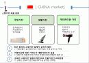 中國 China Marketing 청춘 通  비빔밥 - 한경희 생활과학 스팀청소기 Marketing Strategy.ppt 8페이지