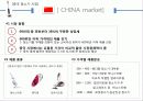 中國 China Marketing 청춘 通  비빔밥 - 한경희 생활과학 스팀청소기 Marketing Strategy.ppt 10페이지