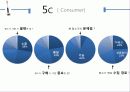 中國 China Marketing 청춘 通  비빔밥 - 한경희 생활과학 스팀청소기 Marketing Strategy.ppt 14페이지