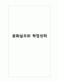 문화실조와 학업성취 1페이지