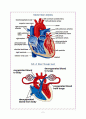 심전도 레포트 (Heart Anatomy & EKG report) 2페이지