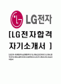[LG전자-마케팅부서합격자기소개서]LG전자자기소개서,합격자기소개서,LG전자자소서,합격자소서,자기소개서,자소서,이력서,입사지원서 1페이지