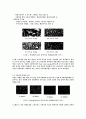 [실험] pmma혼탁 2페이지