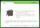 마케팅기획서-동원F&B 신제품개발 23페이지
