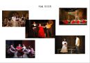 무대의상기획- 3대 오페라 비극 , 카르멘  12페이지