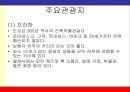 [A+] 체코에 대한 조사보고서 (문화,음식,축제,숙박,교통,쇼핑,세계유산,주요관광지 등).ppt 17페이지